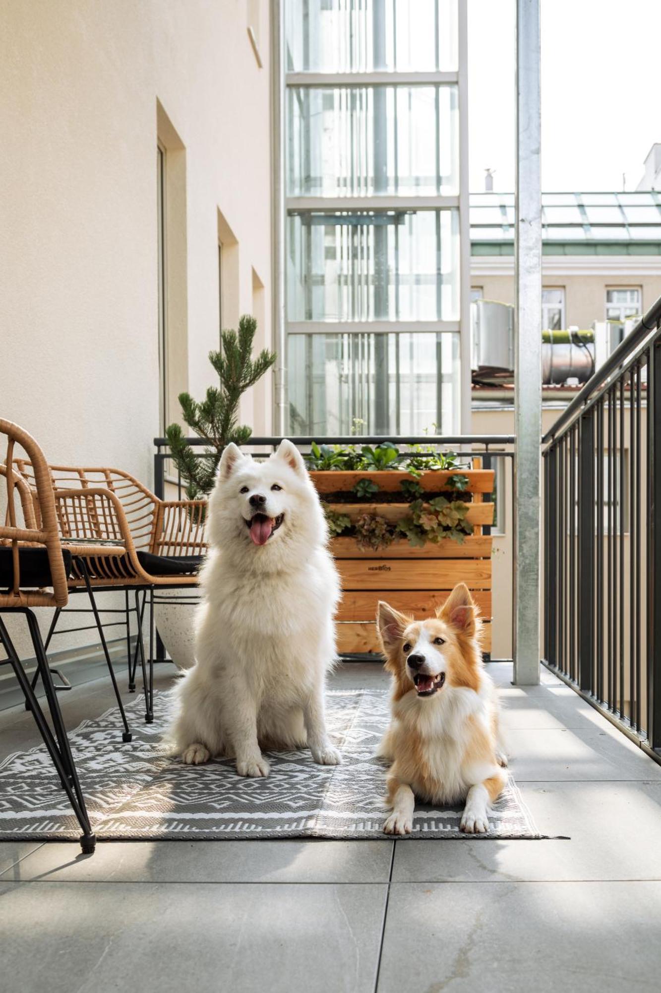 Urban Jungle Apartments Βιέννη Εξωτερικό φωτογραφία